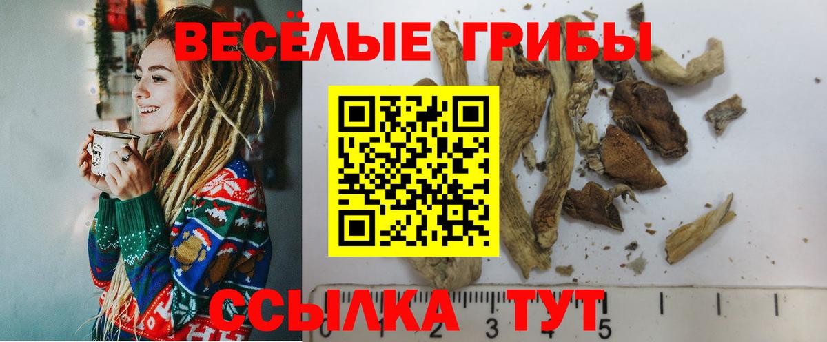 Галлюциногенные грибы Cubensis Троицк
