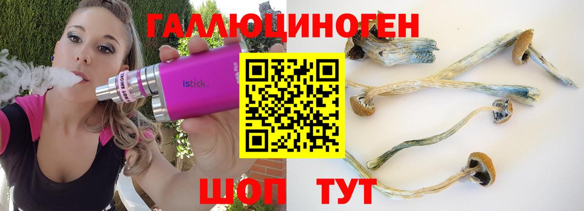 Троицк  Галлюциногенные грибы GOLDEN TEACHER  Вход с VPN  Галлюциногенные грибы ЛСД 